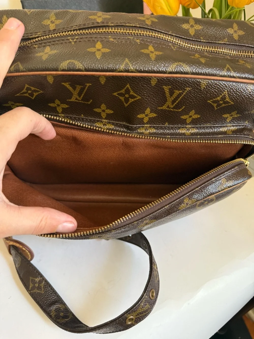 Louis Vuitton Nile Monogram Canvas Messenger Bag - Picture 12 of 14